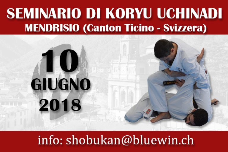 Seminario di Koryu Uchinadi a Mendrisio (Svizzera)