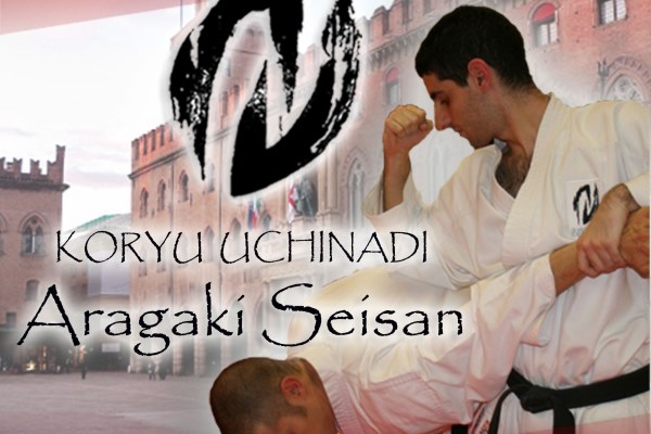 Seminario sul Kata Aragaki Seisan a Bologna