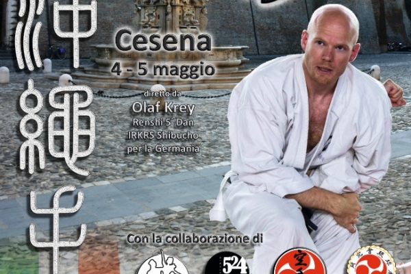 Koryu Uchinadi Seminar 2013 con Renshi Olaf Krey a Cesena